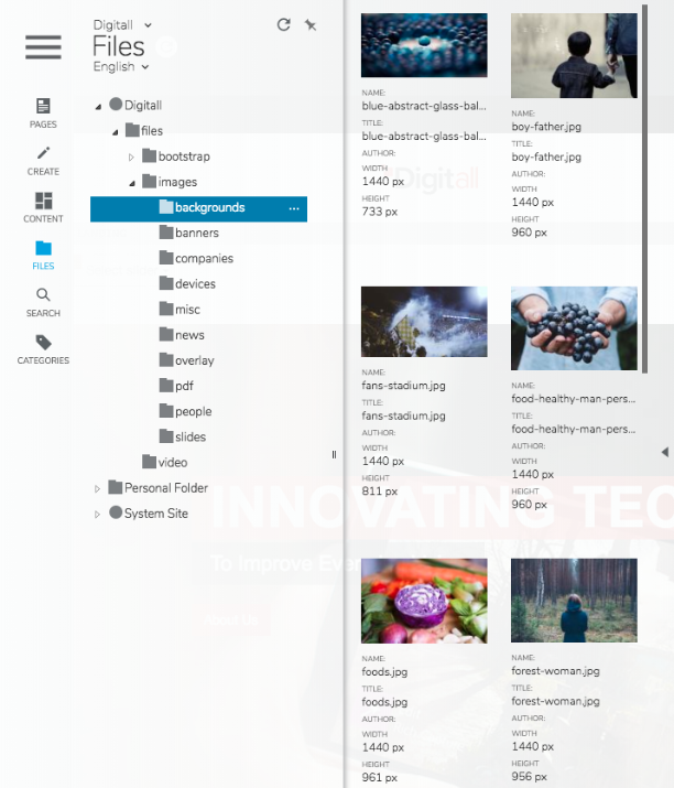 editmode-files.PNG