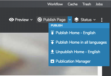 publication-6.jpg
