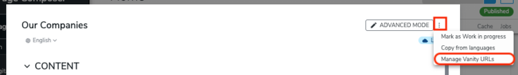 accessing-vanity-URL-content-editor.png