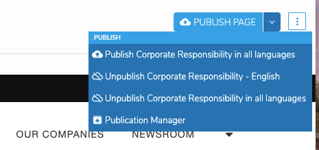 page-composer-publication-menu.png