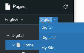 page-composer-site-selector.png