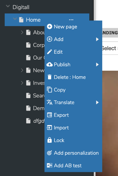 edit-page.png