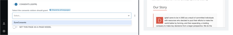 Select-Consent-policy.png