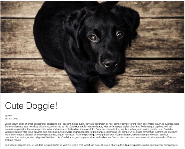 cutedoggie.png