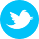 Twitter API Connector icon