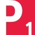 Jahia OAuth PingFederate icon