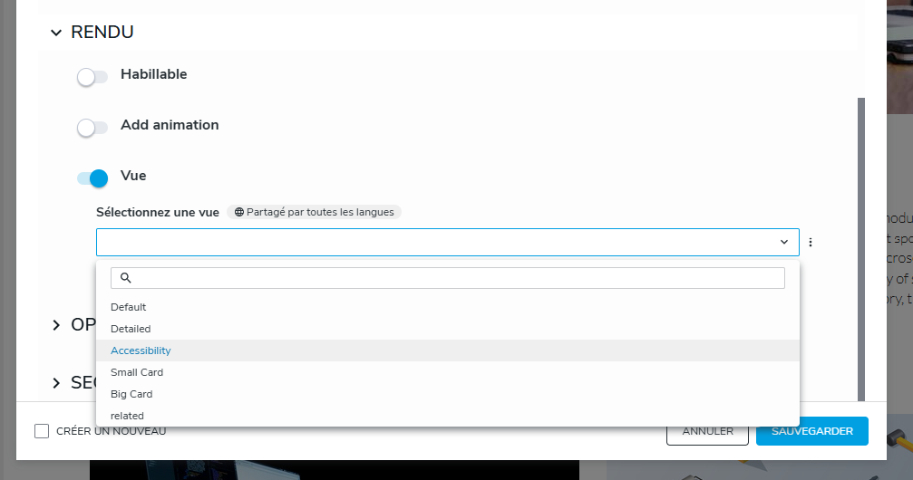 Rendu alternatif avec une vue Accessible dans l'interface du CMS Jahia